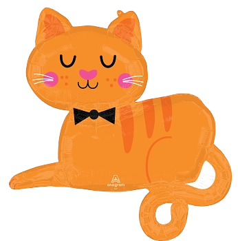 Anagram 31" Orange Tabby Cat