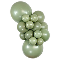 Sempertex 36" Deluxe Eucalyptus 2ct